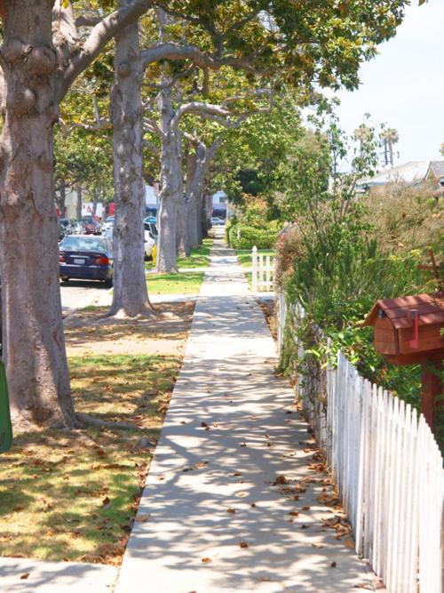 Culver City Escape With Pool, Near Disneyland Park! 洛杉矶 外观 照片
